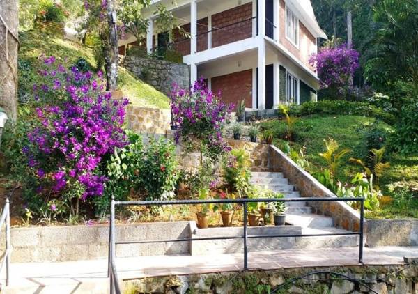 Falling Waters Munnar