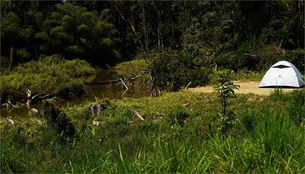 Dew Drops Farm Resorts