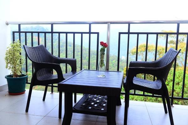 Palmtree Leaf Munnar