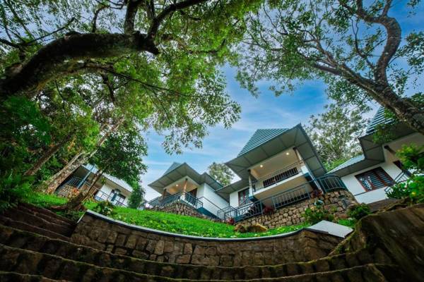 Golden Fern by platina