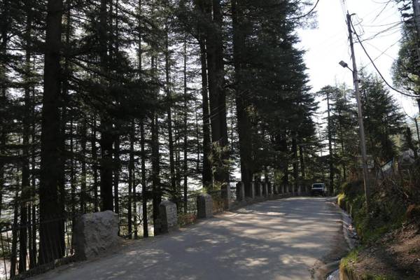 Hotel Mountain Trail Manali