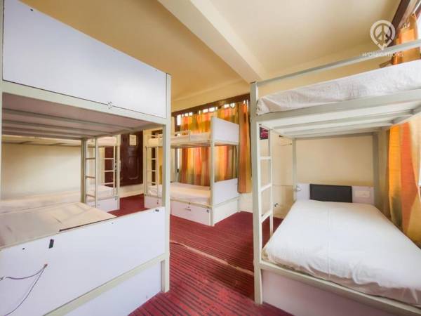 Backpackers Panda Manali