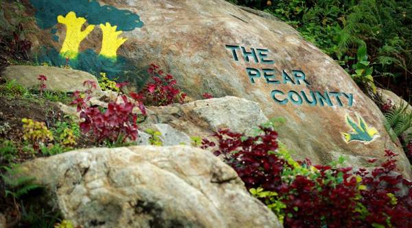 The Pear County