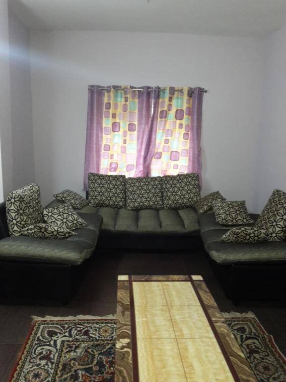 Holidays and Celebrations