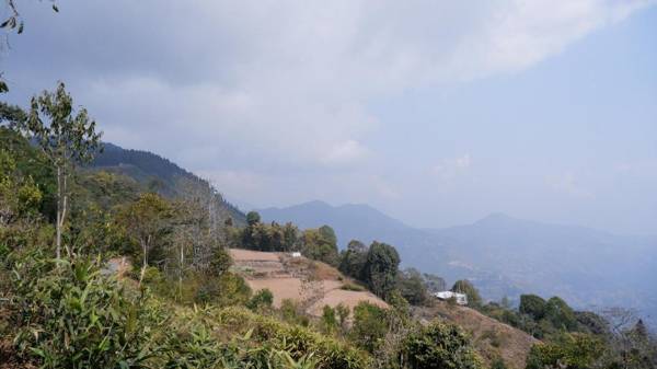 Local Connection - Grace Homestay