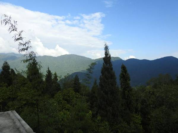 DRUK WELLNESS RESORT