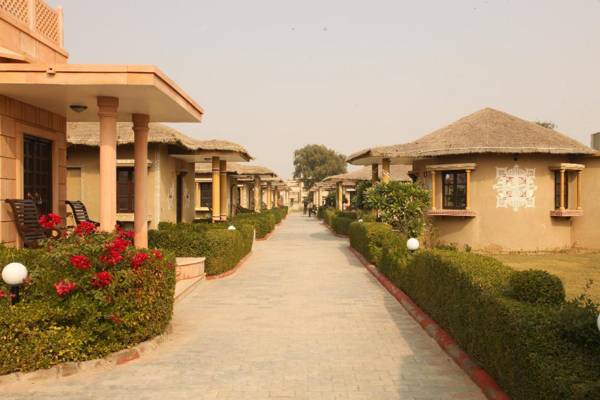 Thar Oasis Resort & Camp