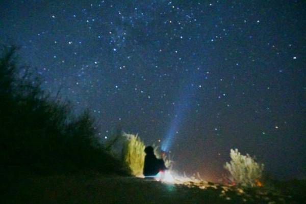Wonbin Safari Jaisalmer