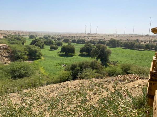 The Desert holiday camp jaisalmer