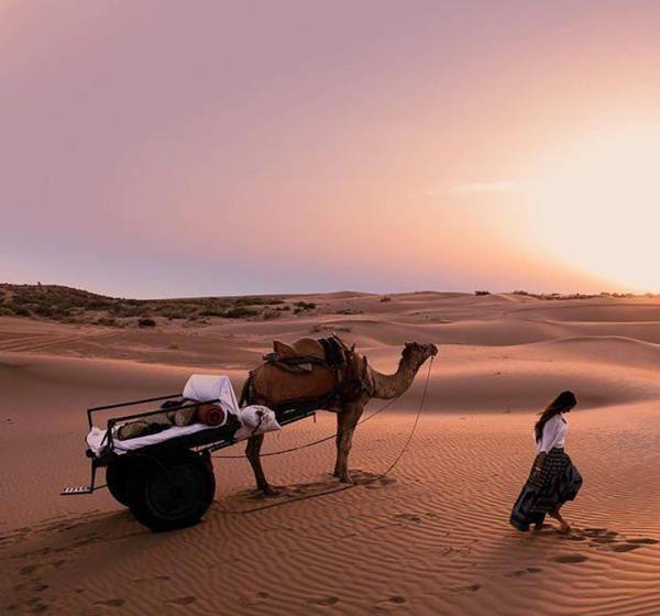 Jaisalmer Golden Camp