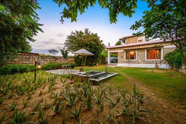 A Dog's Story Jaipur