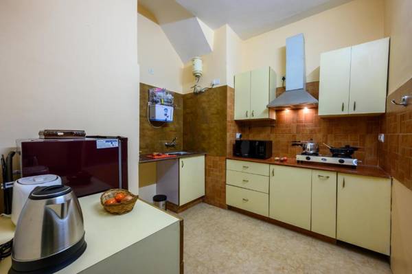 A Dog's Story Jaipur