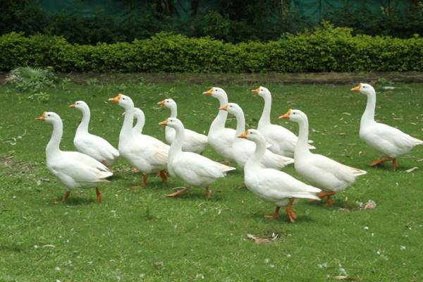 Energy The Village Tourism By WB Inn