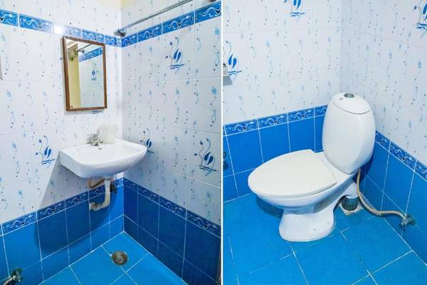 OYO 13300 Hotel New Platinum