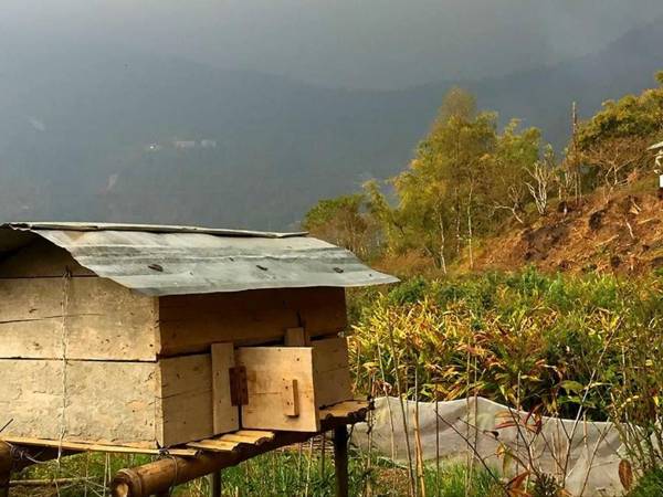 VAMOOSE PARKHA SIKKIM