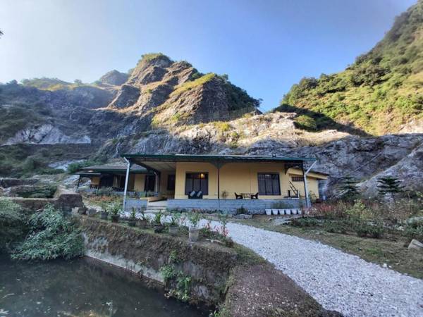 A Dogs Story Mussoorie