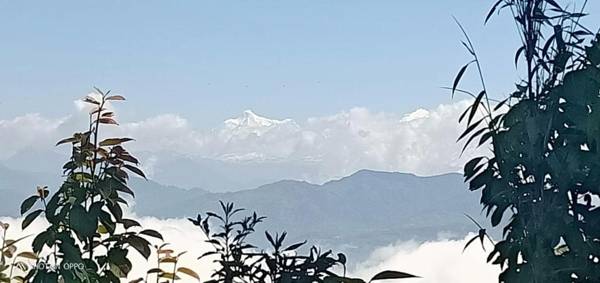 Vamoose Padma Dhotrey