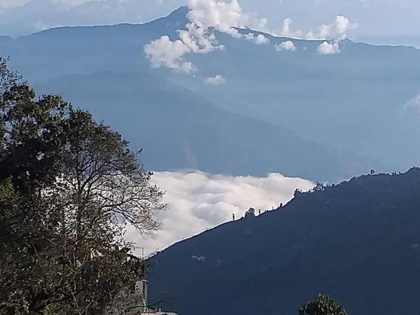 Madys view -Aaple Ghar