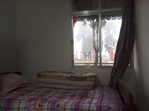 Vamoose Rhododendron