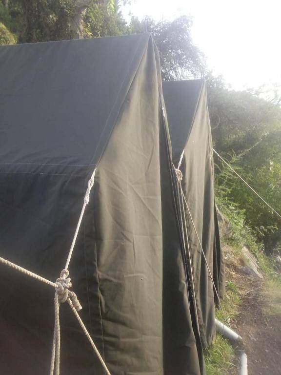 Dalhousian camping⛺⛺⛺⛺