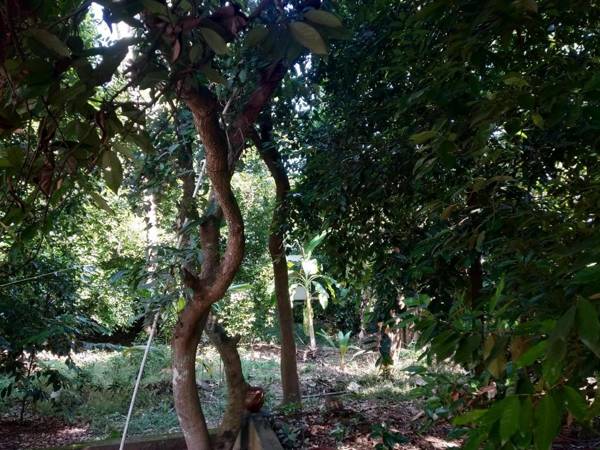 Back Packers Cochin Villa