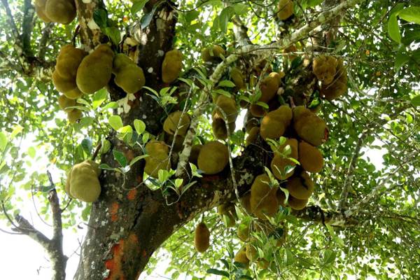 Leisure Homestay with Pool & Water Activities