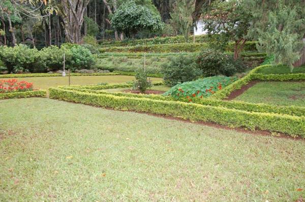 Ama Plantation Trails Chikmagalur