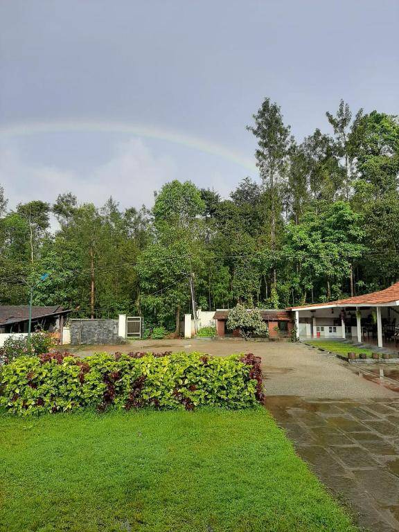 Back To Nest Homestay