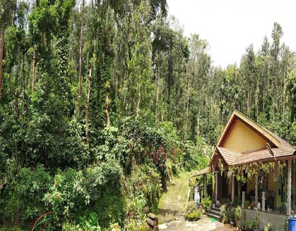 Kambada Mane Homestay by StayApart