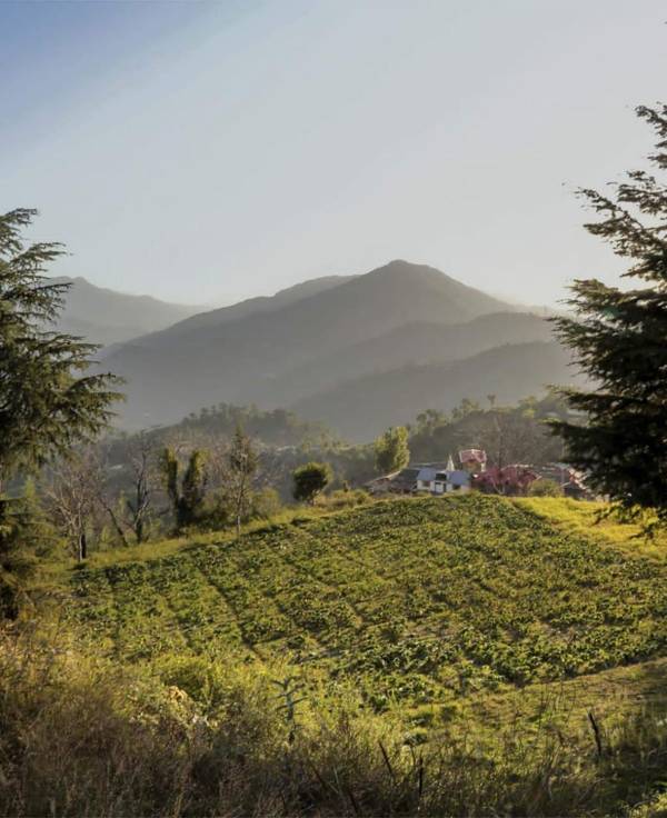 Clarks Exotica Nature Resort