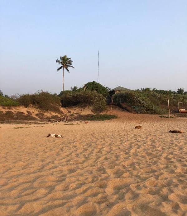 Peravel Beach Holiday Home