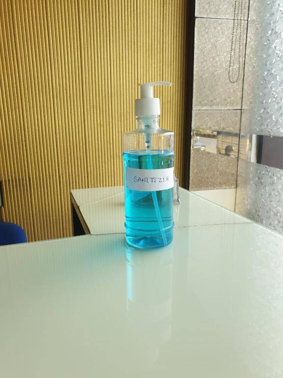 Hotel Sanjary Palace