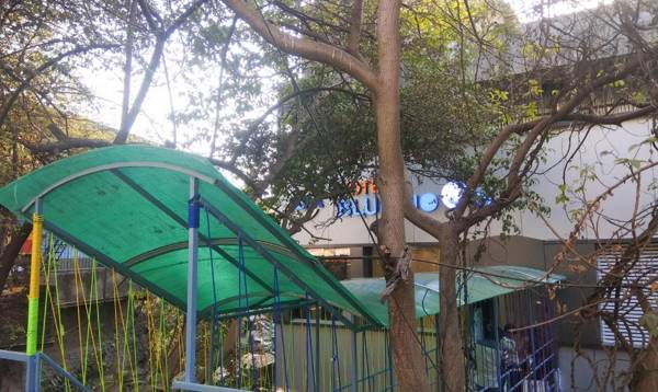 Treebo Trend Blue Moon Powai