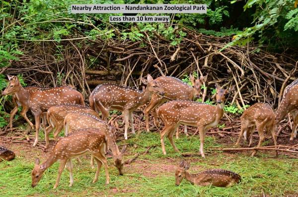 OYO Flagship 8346 LazyStays