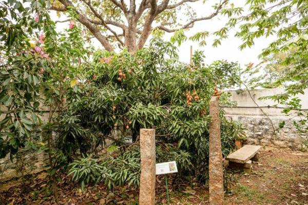 Nest Holidays Homestay