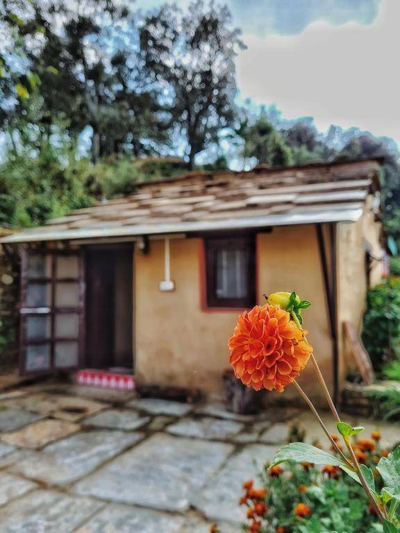 Sharda Stay's Binsar Himalayas