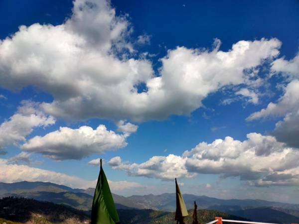 Sunny-side cottage&cafe