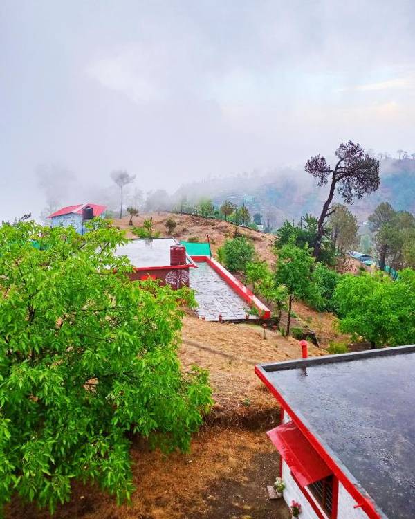 Traveller Hive Kasar Devi