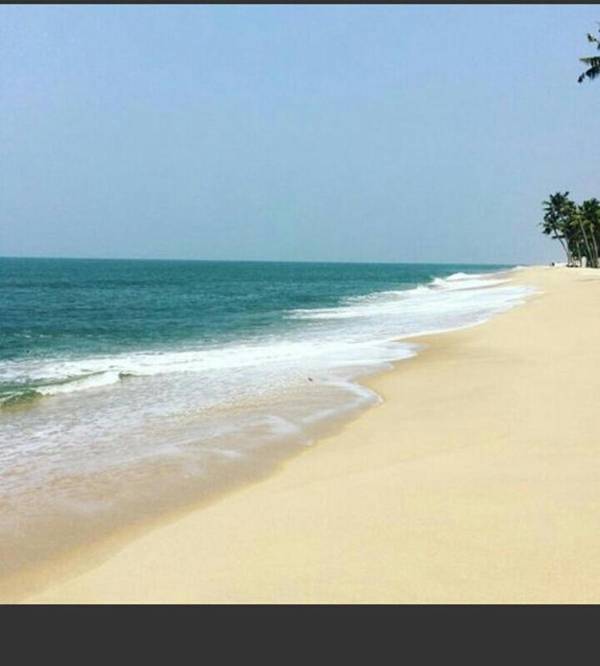 Marari Greenland Homestay