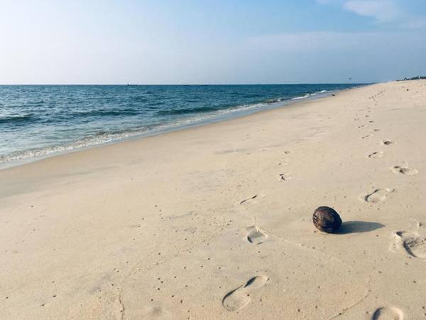 Peacock Villa Marari
