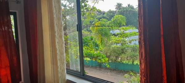 Marari Beach Harmonia