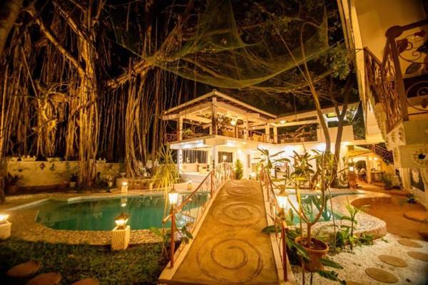 Singing Tree By Nirvana