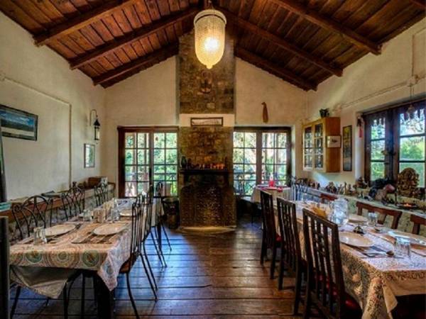 Jungle Lore Birding Lodge