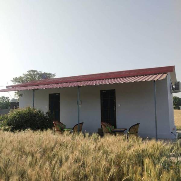 The comfort inn - Corbett Homestay