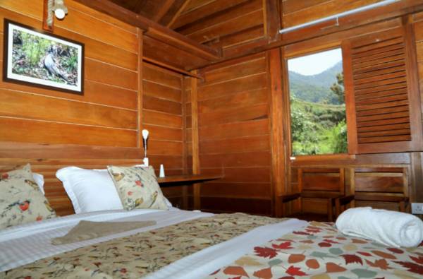 Hotel Aranya Virasat