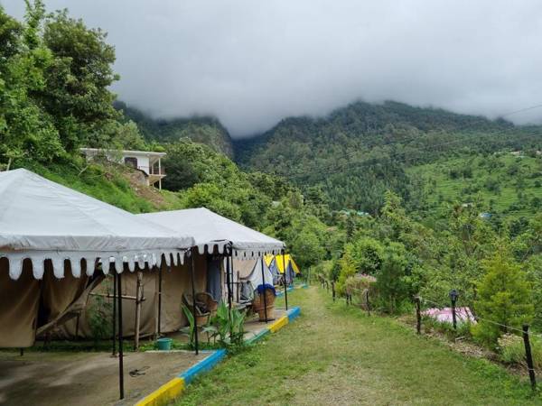 Jungle Live Inn Camps & Resorts