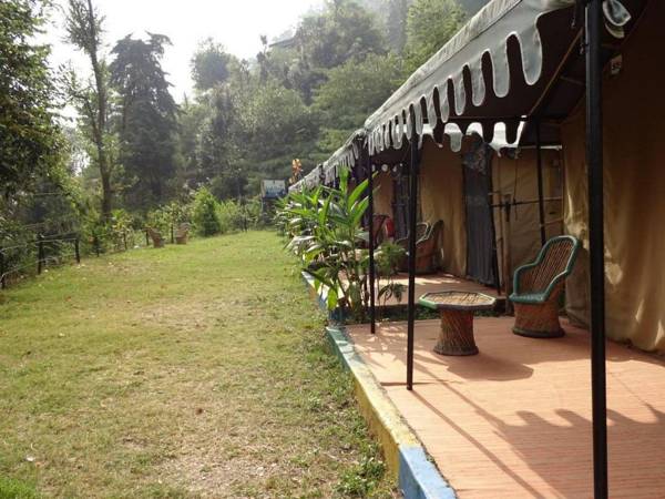 Jungle Live Inn Camps & Resorts