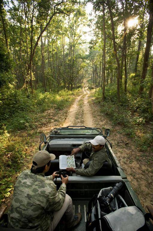 Banjaar Tola Kanha National Park - A Taj Safari Lodge