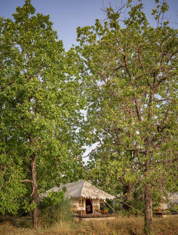 Bagh Villas Jungle Camp & Spa