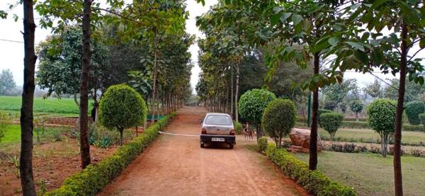 An Authentic Village Farm